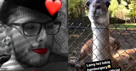 Agresywny Paweł z "Warsaw Shore" KARMI LAMY HAMBURGEREM. "Teraz już nie chce liści"