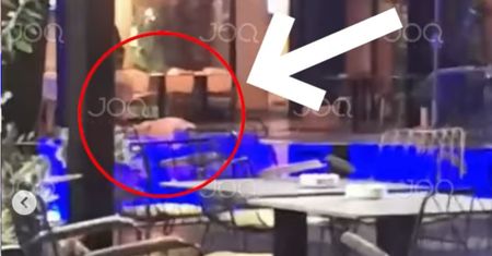 Polka wypadła z okna hotelu w Albanii. Nie przeżyła