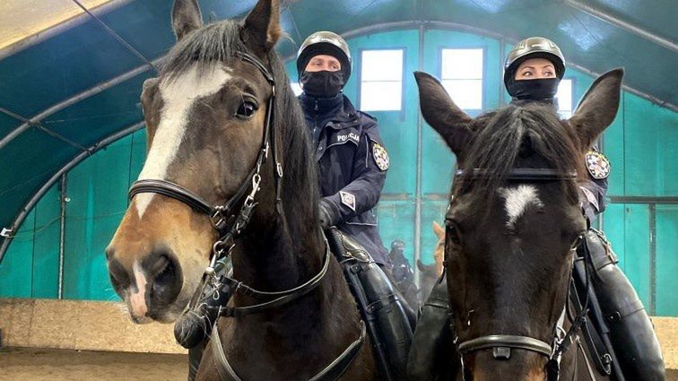 Śląsk. Częstochowska policja szuka chętnych do służby w policyjnym ogniwie konnym. 