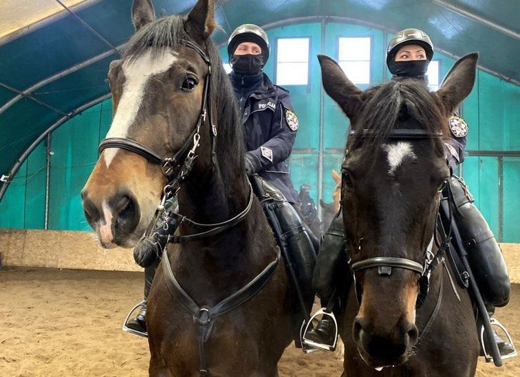 Częstochowa. Ważni nie tylko ludzie. Policja szuka ochotników do służby konnej