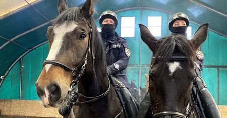 Częstochowa. Ważni nie tylko ludzie. Policja szuka ochotników do służby konnej