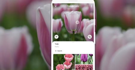 Spodobał ci się przedmiot na zdjęciu? Google pomoże go znaleźć