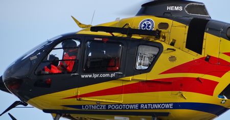 Dziecko walczy o życie. Tragedia podczas wycinki drzew