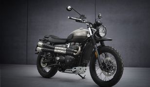 Nowy Triumph Street Scrambler. Będzie miał wersję specjalną Sandstorm