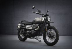 Nowy Triumph Street Scrambler. Będzie miał wersję specjalną Sandstorm