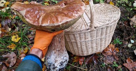Miał 2,25 kg. I nagle taka informacja. Ludzie się zdziwili
