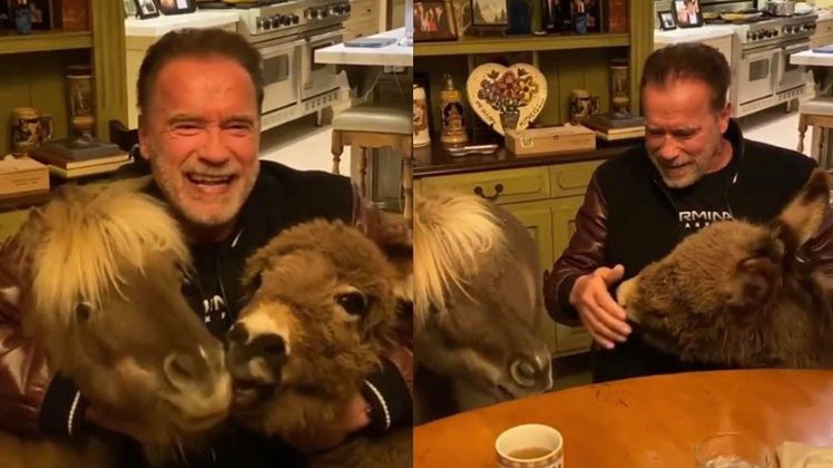 Arnold Schwarzenegger