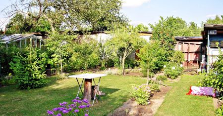 Ogrodniczka poleca "niezniszczalne" rośliny. Urosną co roku