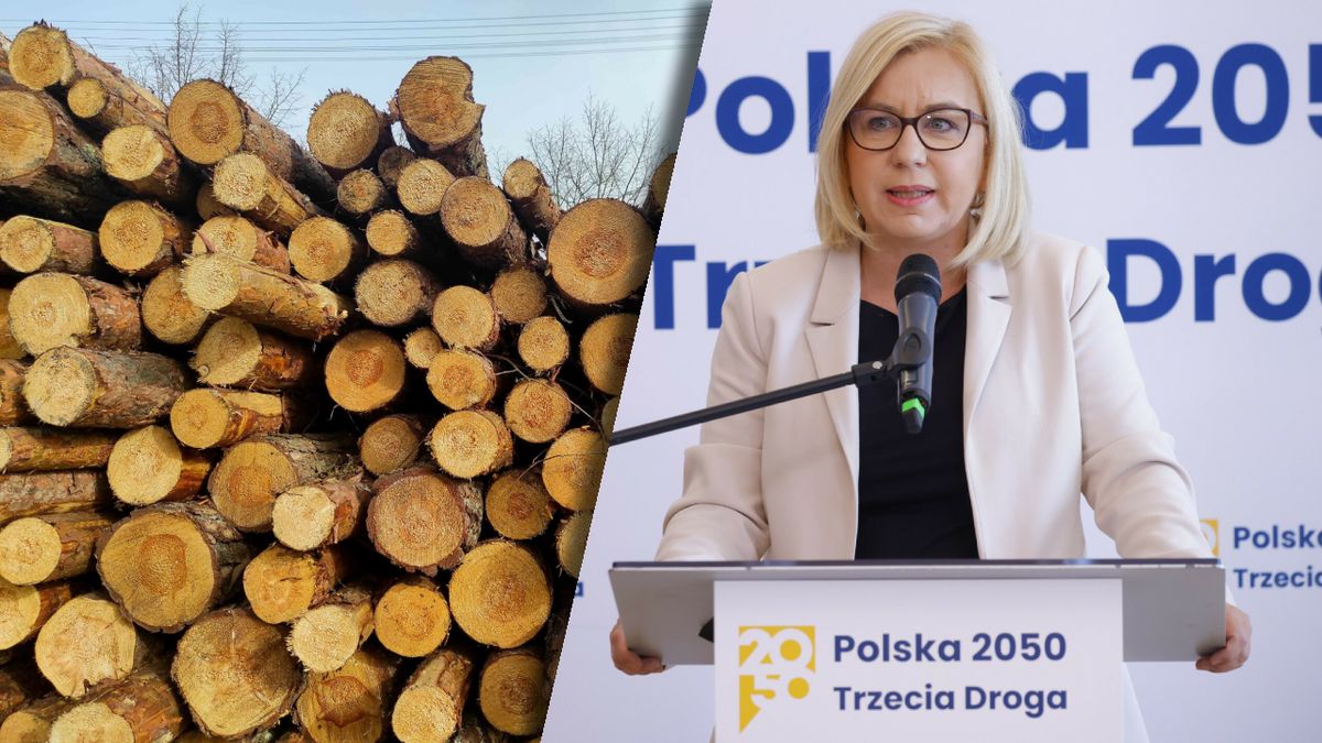 Minister klimatu Paulina Hennig-Kloska