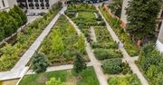 To nie włoskie Tivoli! Tak z lotu ptaka wygląda jeden z najpiękniejszych krakowskich parków. Park im. Wisławy Szymborskiej!