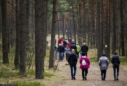 Najnowsza pogoda. Nareszcie zagościł wyż Ingo