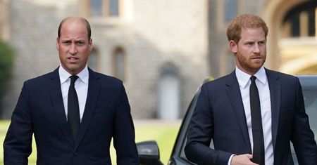 Książę Harry odwiedził dyskretnie Wielką Brytanię i SPOTKAŁ SIĘ z księciem Williamem! "Zachowywali dystans"