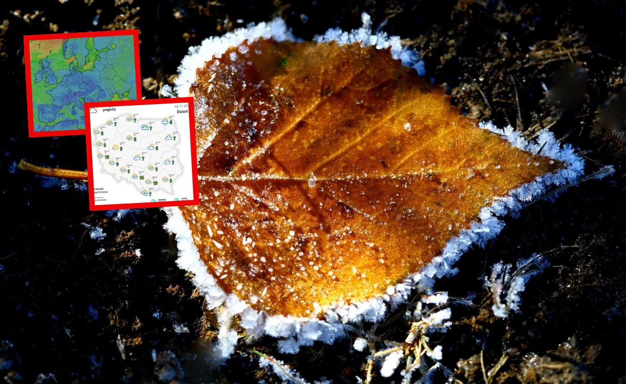 Arktyczny podmuch na początku listopada. Wiadomo, co później