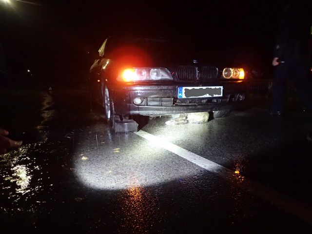 Dzik utknął pod samochodem