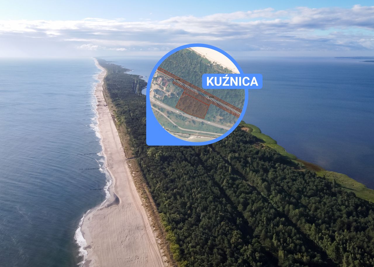 Bunt na Helu. Mieszkańcy nie chcą wycinki pod nowe tory dla turystów