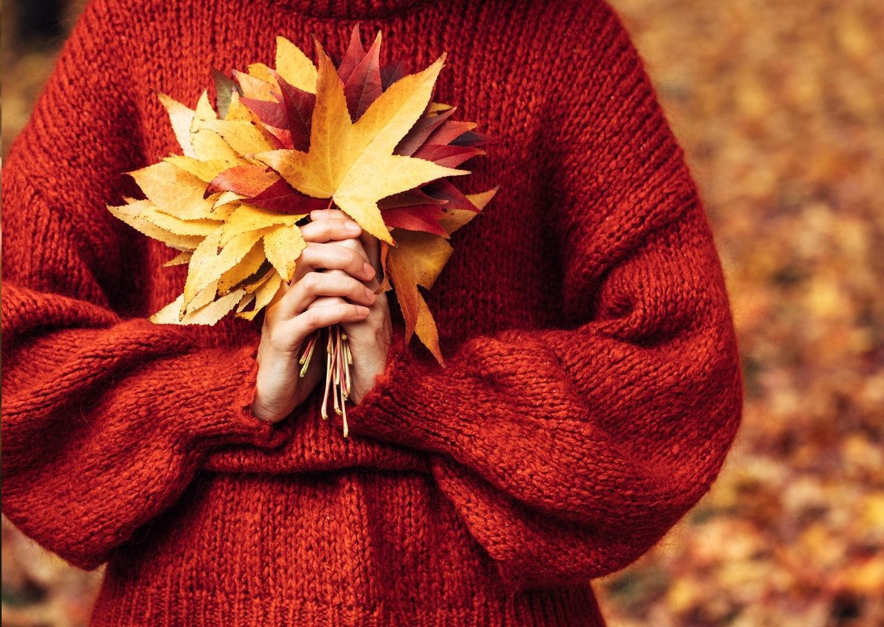 Ile wiesz o jesieni? Quiz trudniejszy niż myślisz