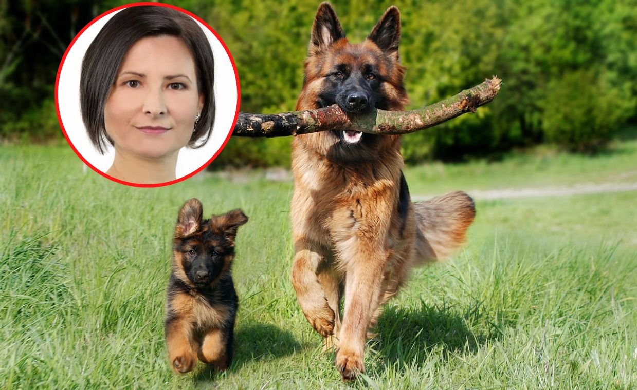 Broniła jedzenia psów. Konfederacja skreśliła ją z list