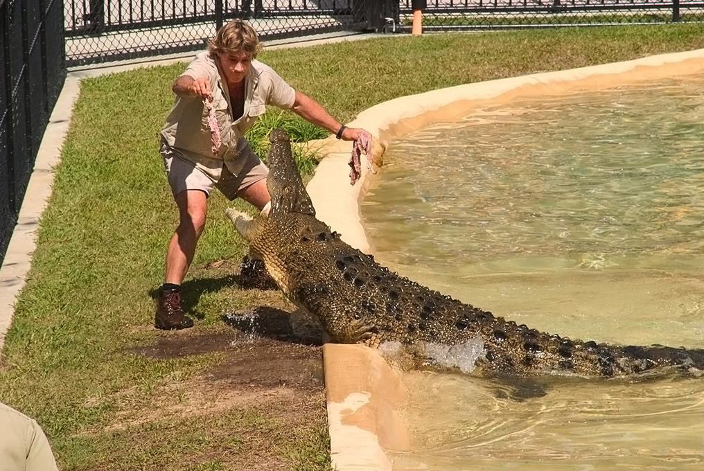 Steve Irwin w 2005 roku