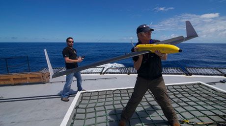 Drony uratują życie setek wielorybów? [wideo] 1