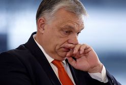 Finlandia i Szwecja w NATO. Węgry za czy przeciw? Orban zabrał głos