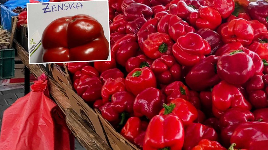 Jaką paprykę wybrać?