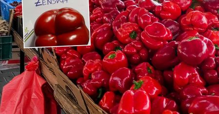 "Żeńska" papryka najlepsza do sałatek. Oto jak ją poznać