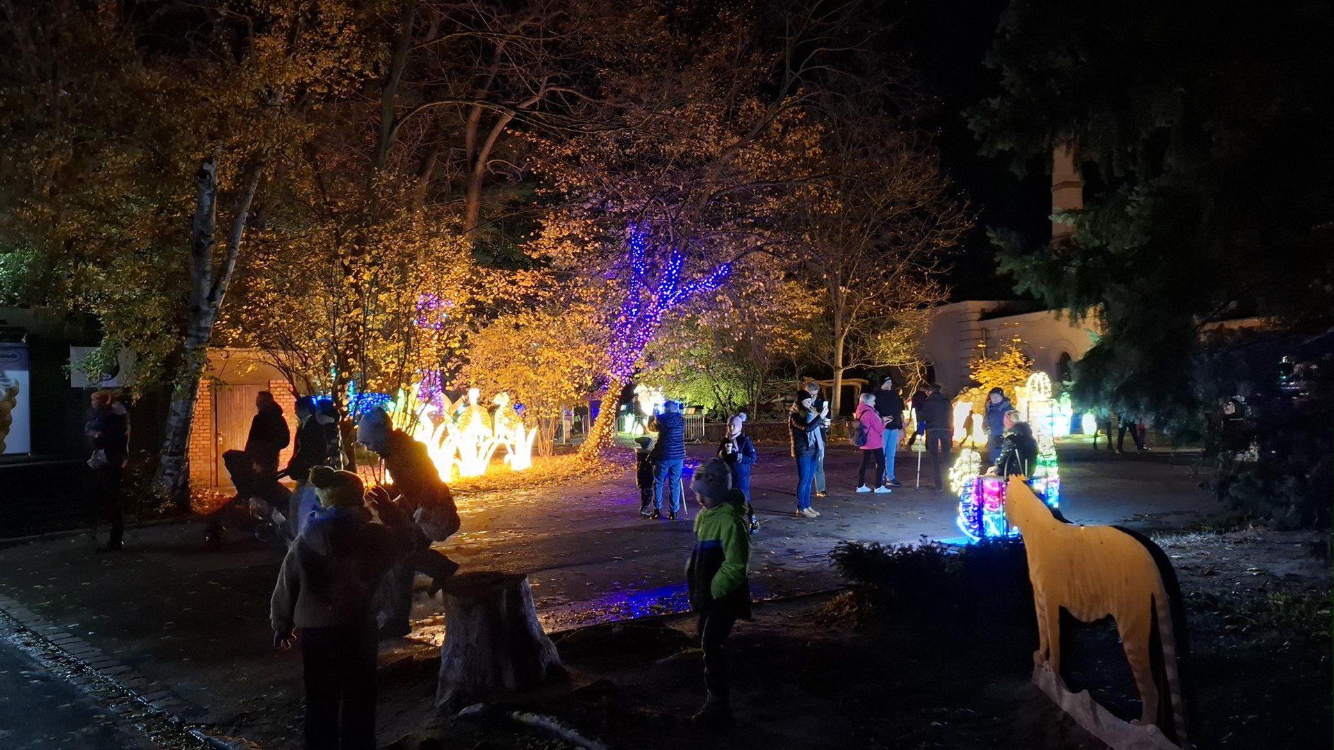 Garden of Lights Wrocław