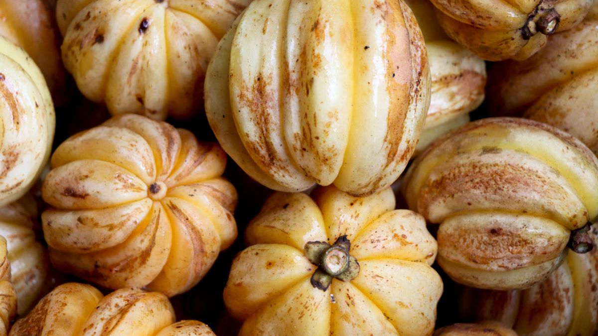 Garcinia cambogia kształtem przypomina dynię