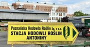 Na Antoninach widać z czego słynęło Leszno. Dawne folwarczne budynki zdobią Leszno
