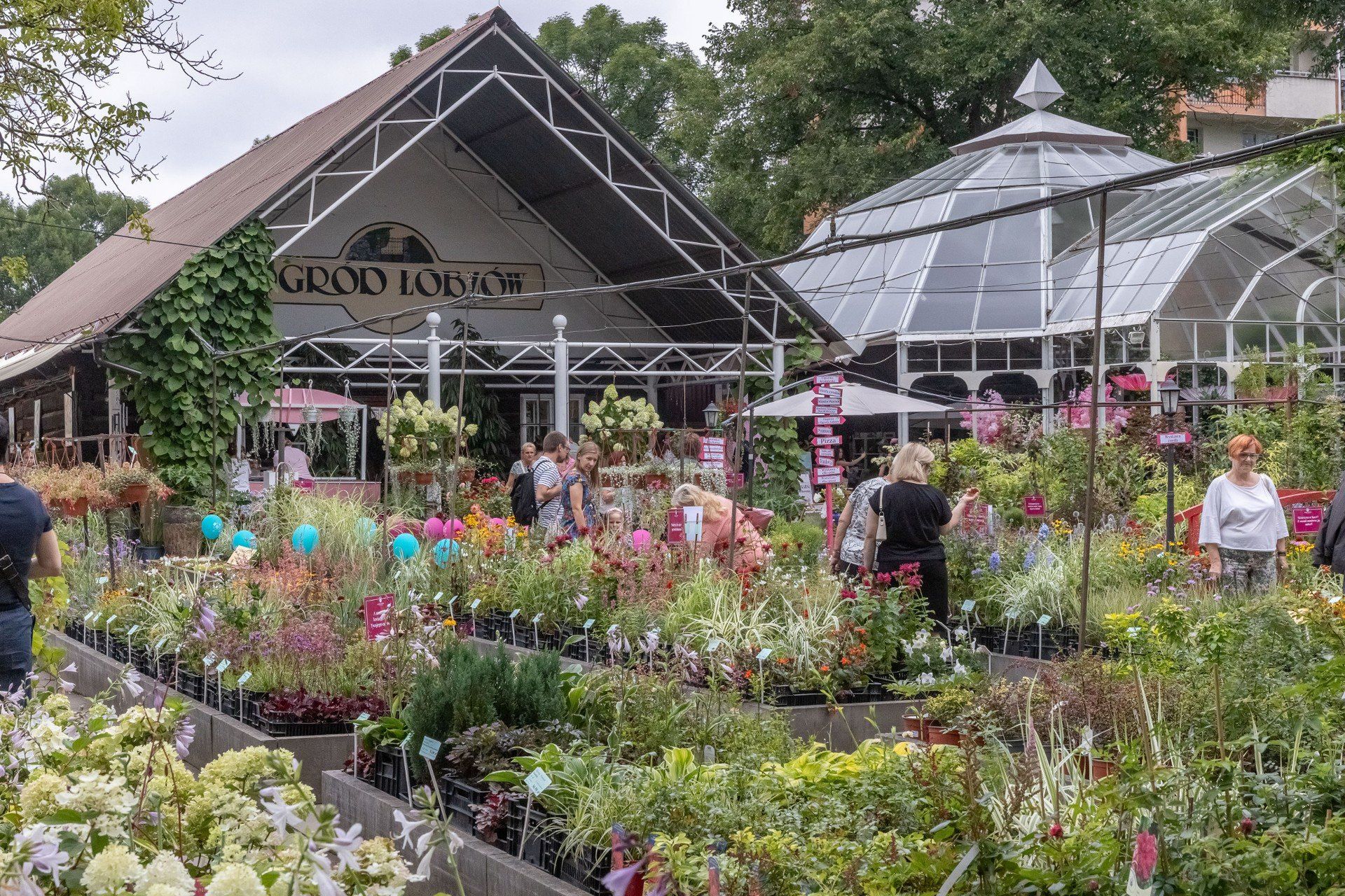 Letnie garden party w znanym i szczególnym sklepie ogrodniczym w krakowskim Łobzowie trwa w niedzielę jeszcze do godz. 21