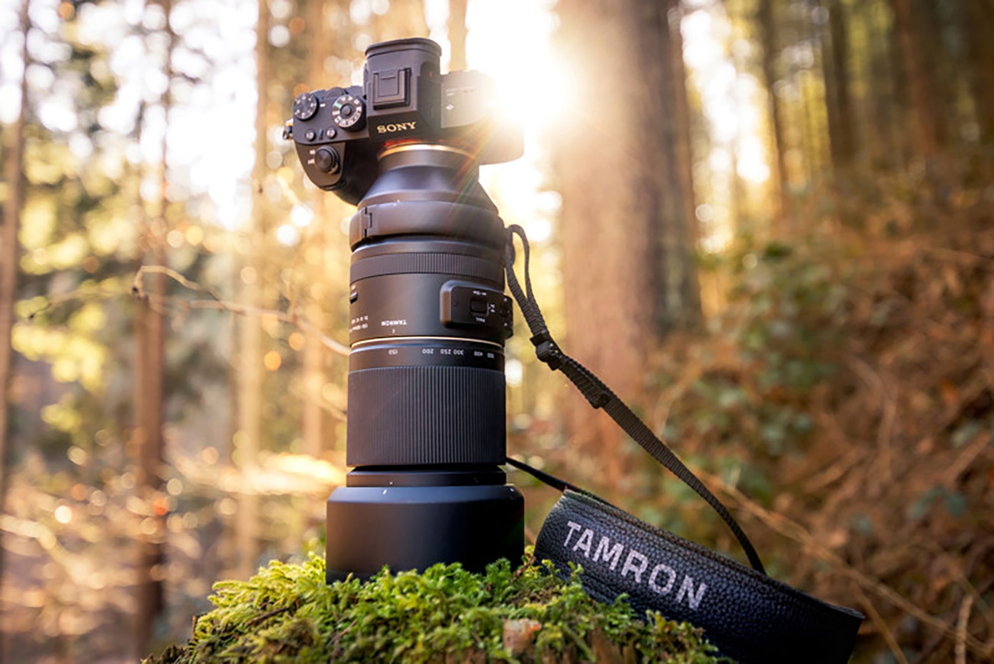 Tamron 150-500 mm f/5-6.7 - interesujący obiektyw dla fotografów dzikiej przyrody 1