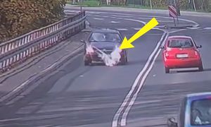 Runął pod auto. Leśnicy pokazali nagranie. Ludzie aż się gotują