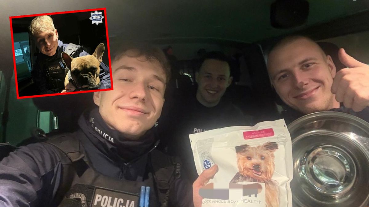 Jastrzębie-Zdrój. Buldog francuski przywiązany do drzewa na mroz