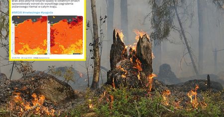 Leśnicy ostrzegają. Miejscami stopień zagrożenia jest "ekstremalny"