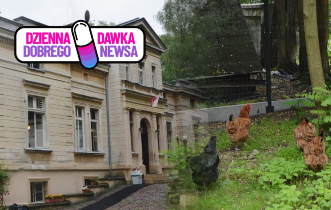 19 ptaków dostało nowe życie. Niezwykły pomysł pod Wrocławiem