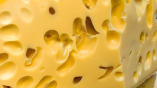 Jeden z najzdrowszych serów. Ma dużo białka, mniej soli i wspiera zęby oraz kości