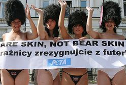 W obronie niedźwiedzi