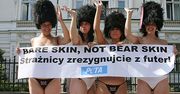 W obronie niedźwiedzi