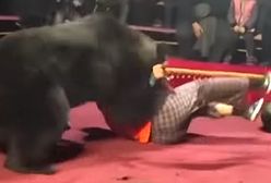 Rosja. Niedźwiedź zaatakował tresera w cyrku. Jest wideo z incydentu