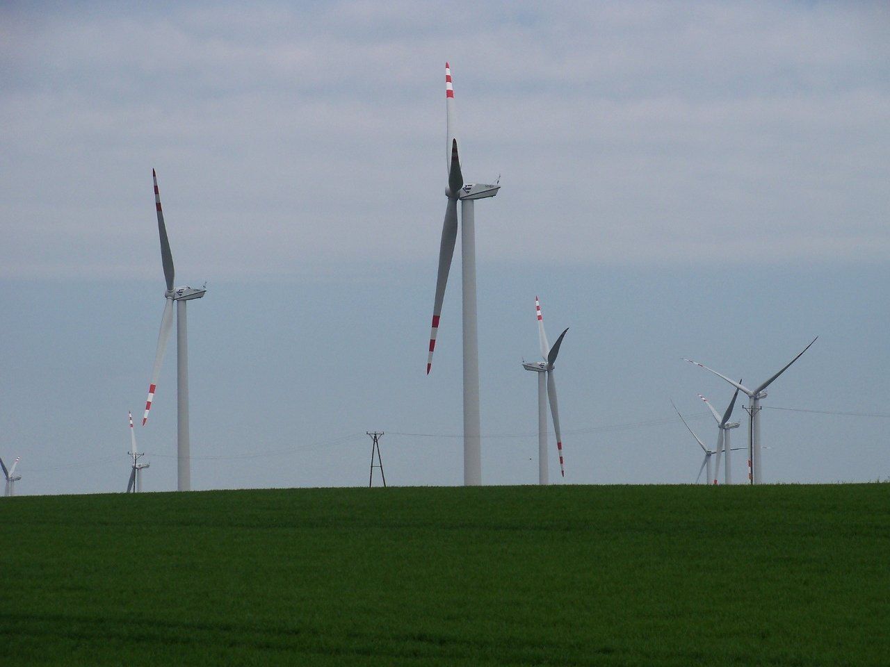 Miliony z wiatru. Rusza projekt dużej farmy wiatrowej