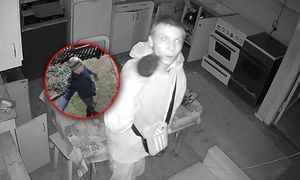 Aż spojrzał w kamerę. Spójrzcie na jego zdjęcie