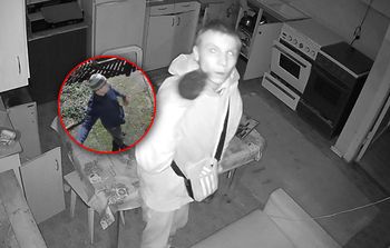 Aż spojrzał w kamerę. Spójrzcie na jego zdjęcie