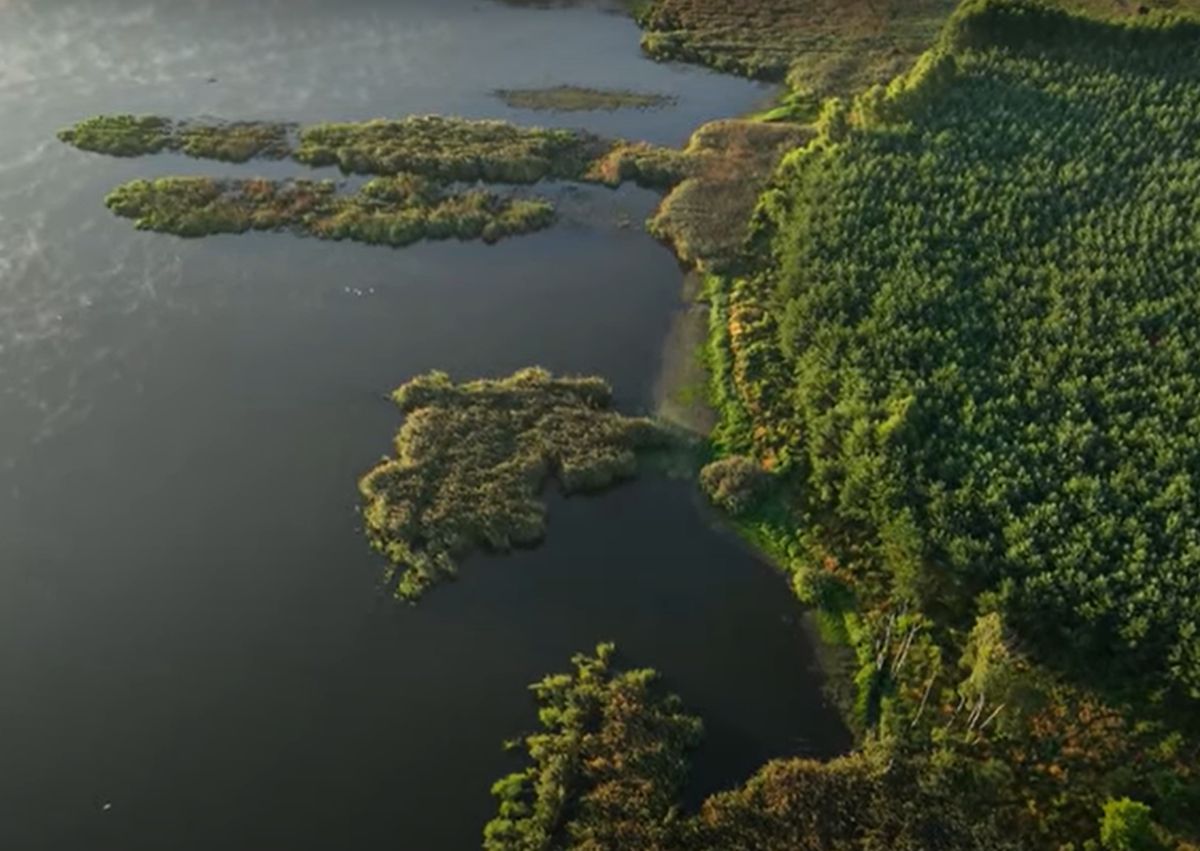Nowy rezerwat przyrody w Polsce (zrzut ekranu)