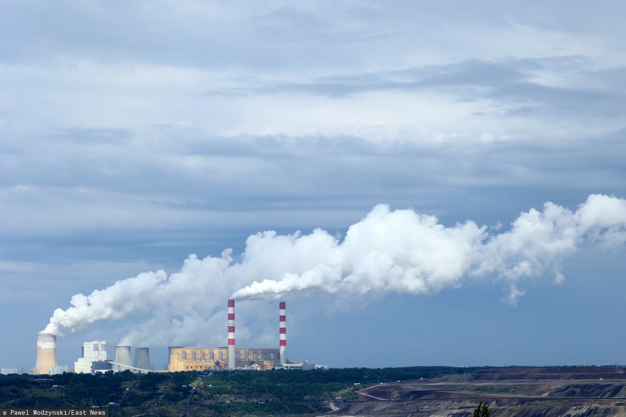 Nie jedna, lecz aż pięć lokalizacji. Tu może powstać druga elektrownia jądrowa