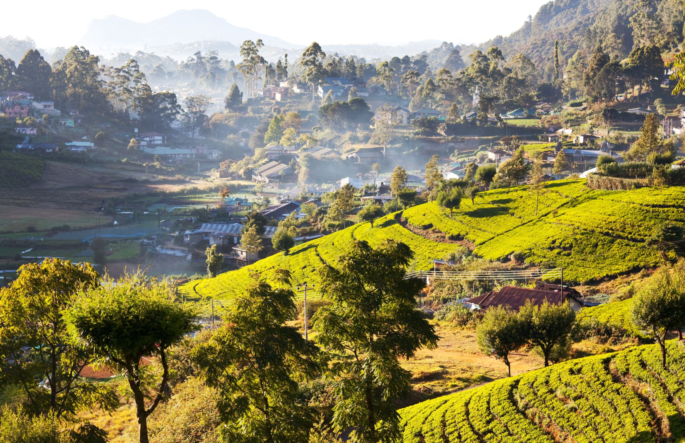 Sri Lanka 