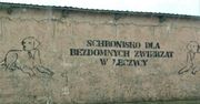 Łęczyca. Miasto wystawi na sprzedaż działkę po schronisku
