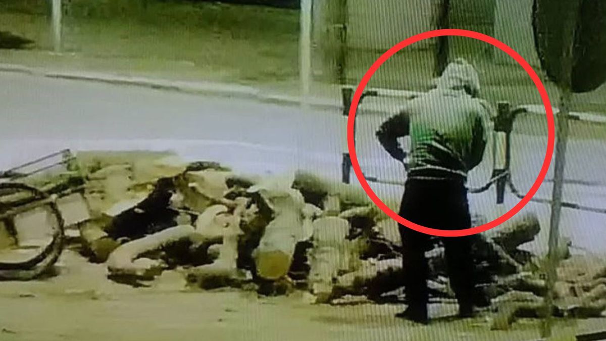 Mężczyzna kradł drewno. Został przyłapany