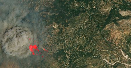Ziemia płonie na zdjęciach satelitarnych NASA. Tak wygląda sezon pożarów