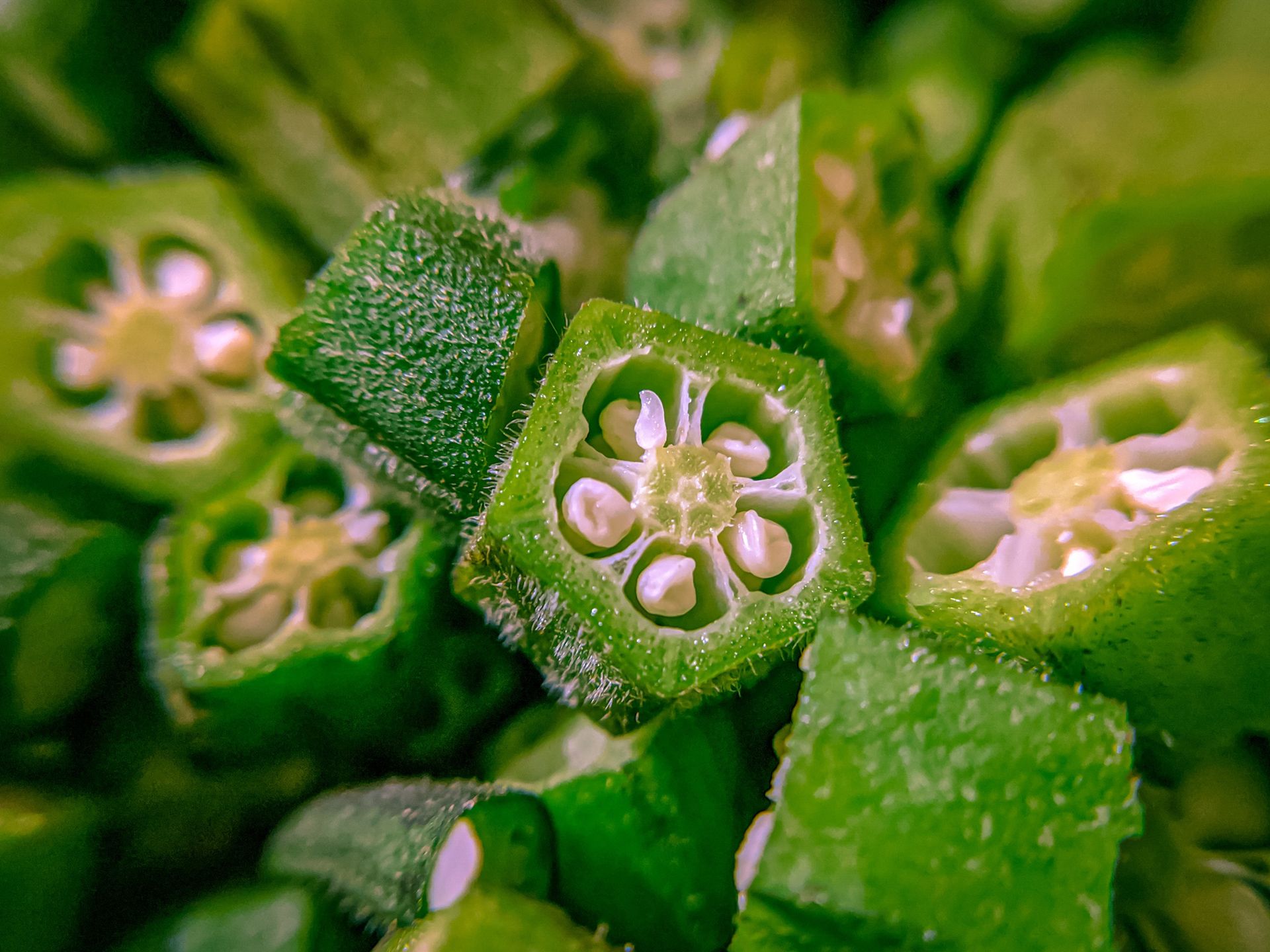 Okra with seeds
Abhishek Mehta