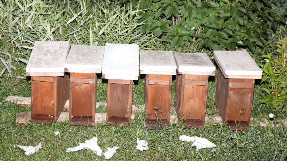  Mężczyzna ukradł sześć uli. Tłumaczył, że zrobił to z troski o los pszczół 